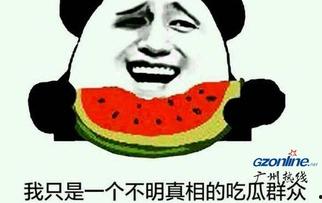 吃瓜群众原梗出处,一场网络热词的诞生记